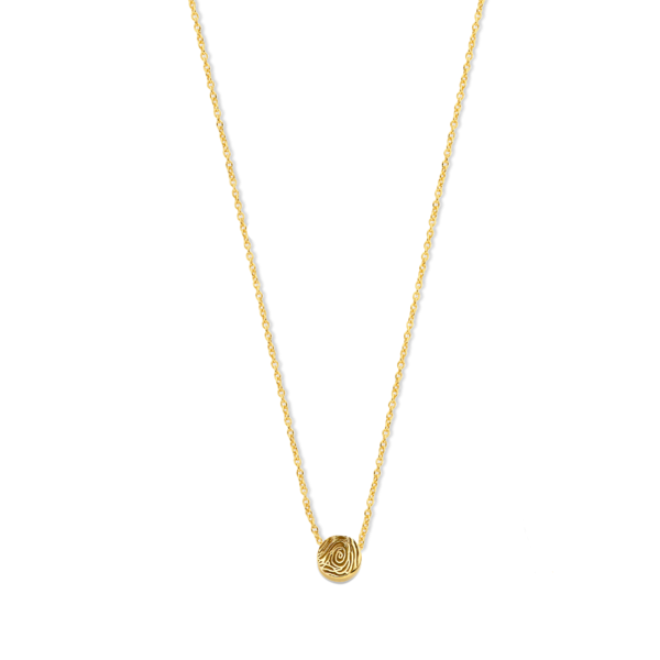 Ketting Vingerafdruk