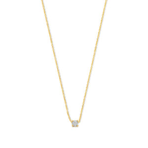 Ketting 4 poot 010