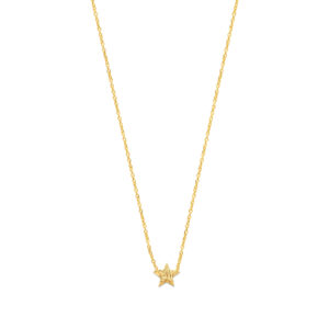 Deze ketting van Minioro is gemaakt van 14 karaats goud. Dit item heeft een sterbedel. De bedel is afgewerkt met een vingerafdruk. Zo heb je echt een persoonlijk en uniek sieraad.