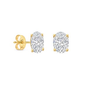 Oorstekers Daisy big