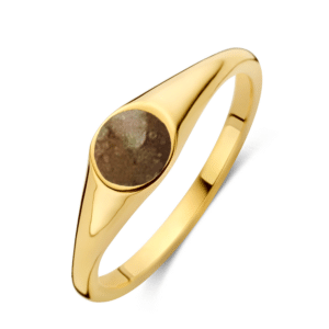 Ring Signet Memory Mini