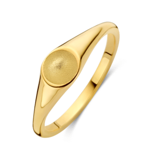 Ring Signet Memory Mini