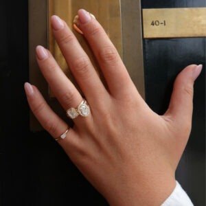 Ring Novi